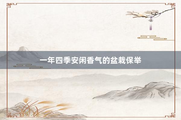 一年四季安闲香气的盆栽保举